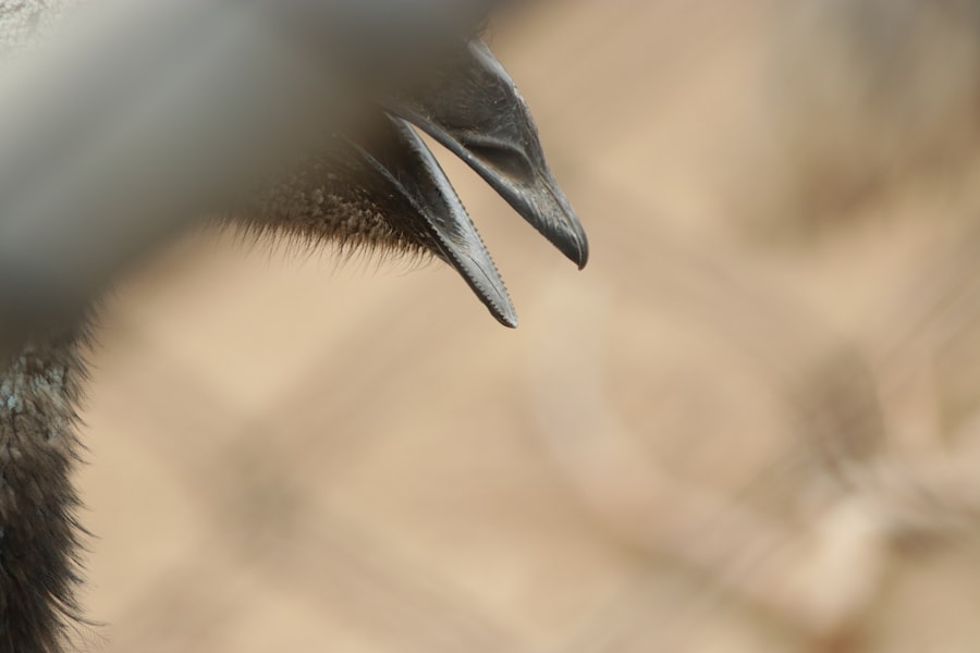 Operation Mockingbird