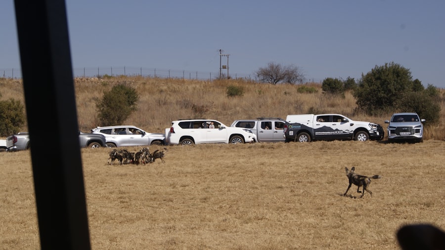 sabotage targets Operation Pastorius