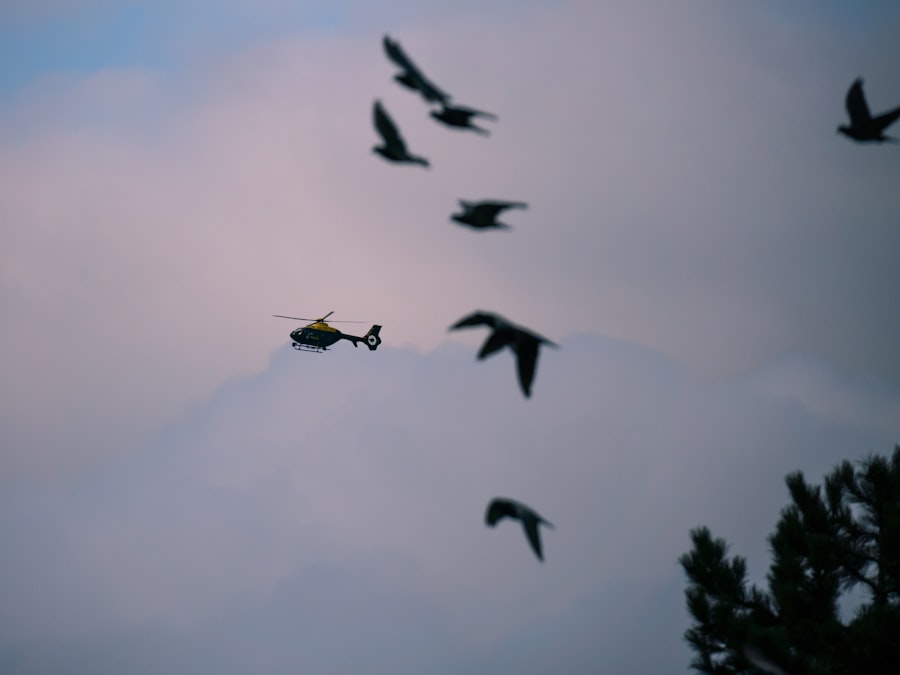 drone swarm