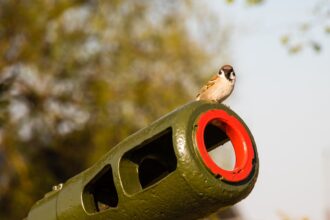 Photo military ingenuity