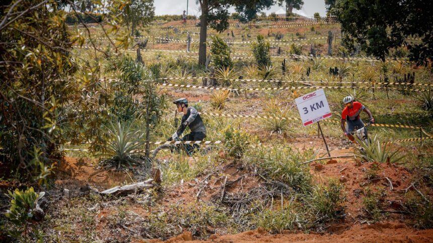 Photo sabotage targets Operation Pastorius