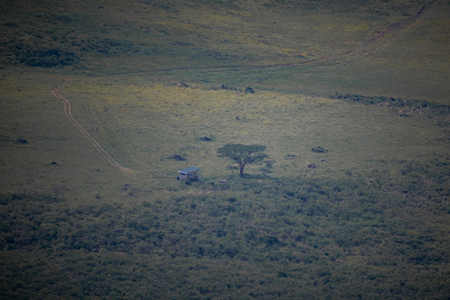 Photo sabotage targets Operation Pastorius