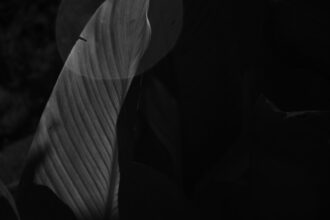 Photo government secrecy