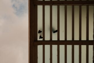 Photo spy ring execution