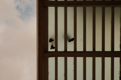 Photo spy ring execution