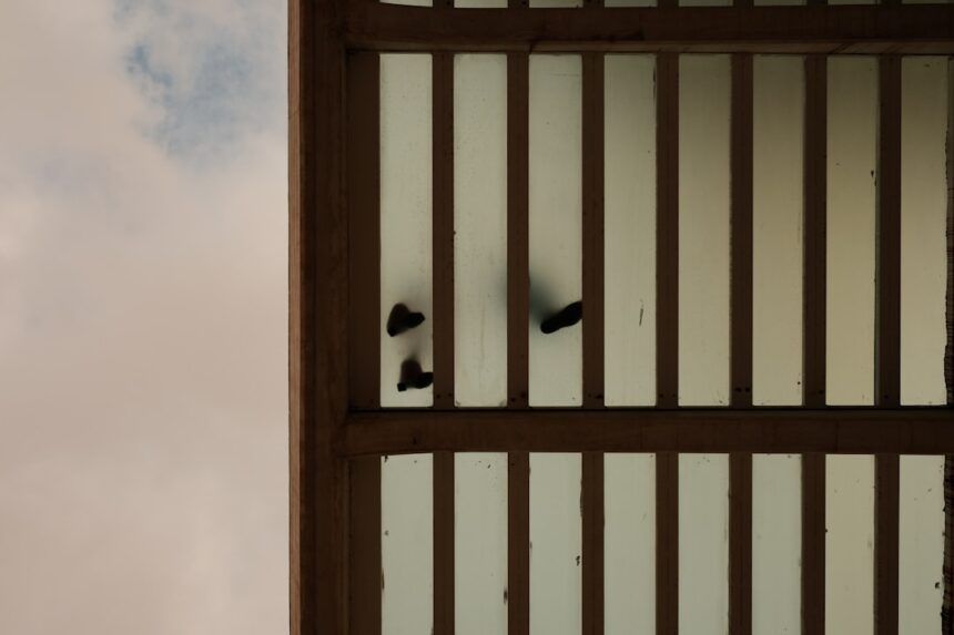 Photo spy ring execution