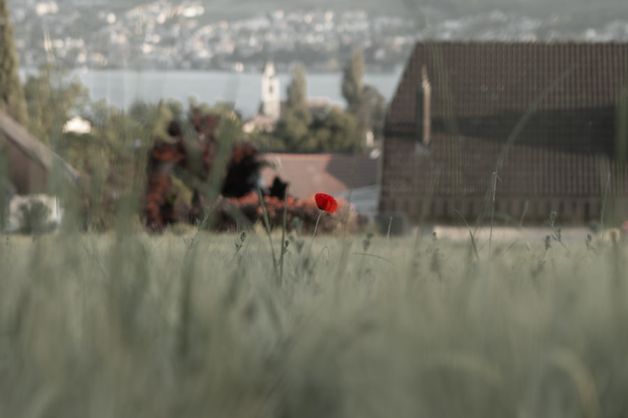 Photo spy ring execution