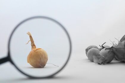 Photo quality control