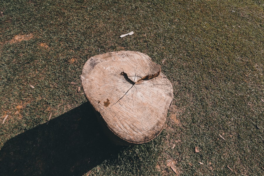 Photo dead drop locations