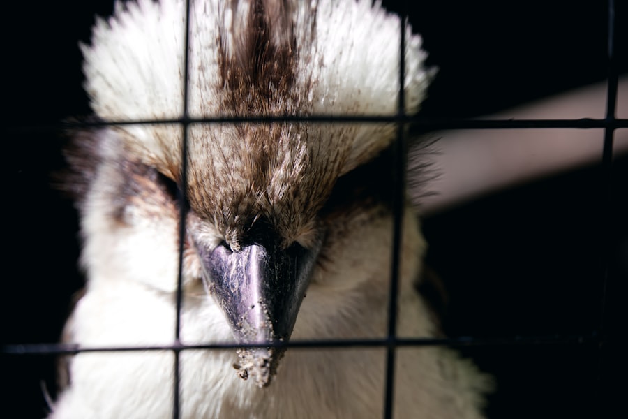 Photo FBI mole hunt operation details