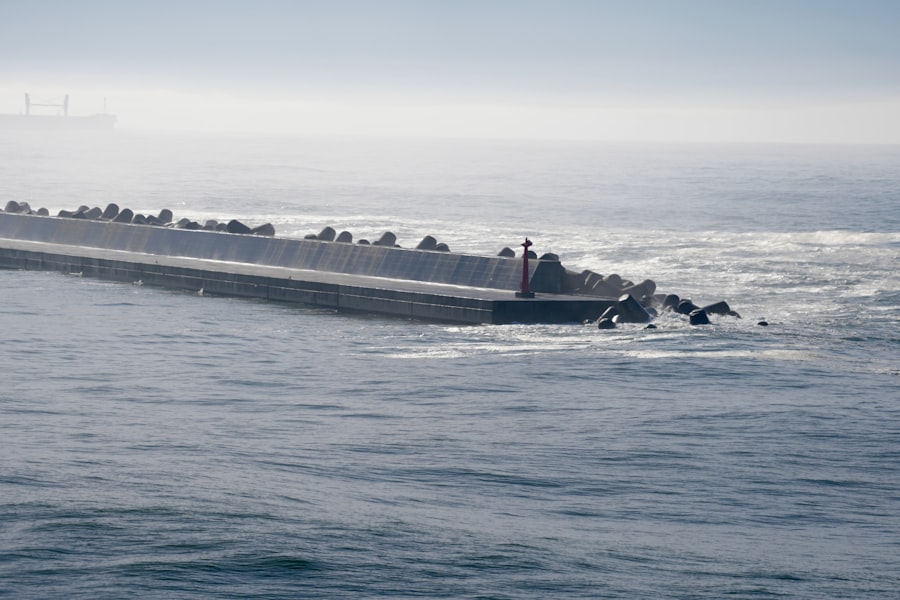 nuclear powered torpedo technology