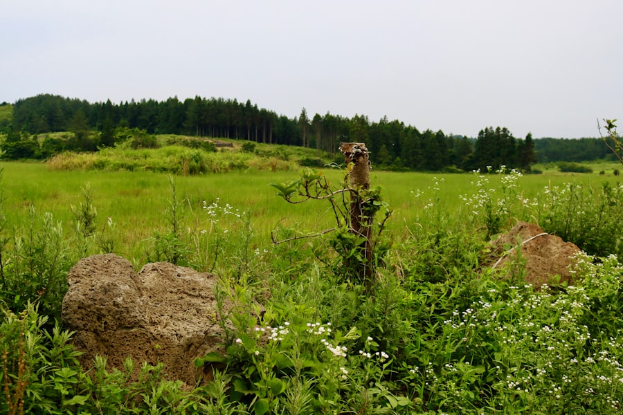 military waste Greenland