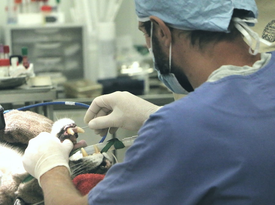 expensive CIA operation