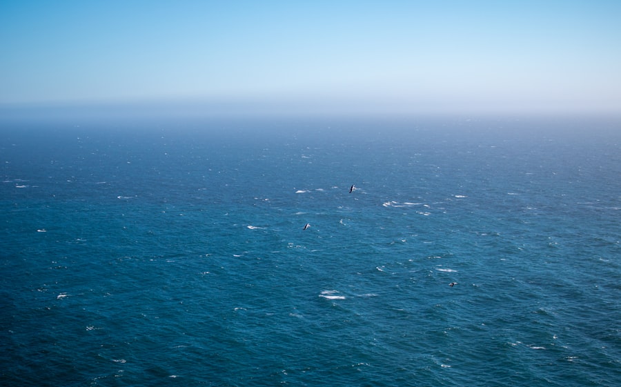 maritime chokepoints