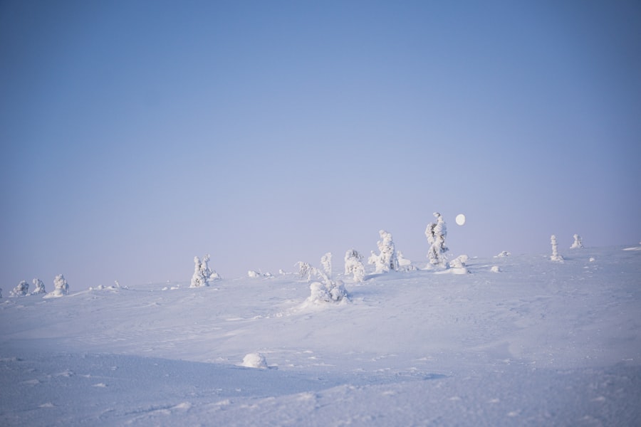 arctic weather warfare tactics