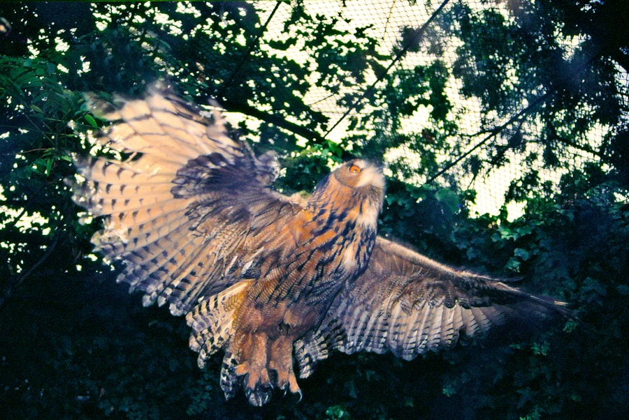 Operation Eagle Claw