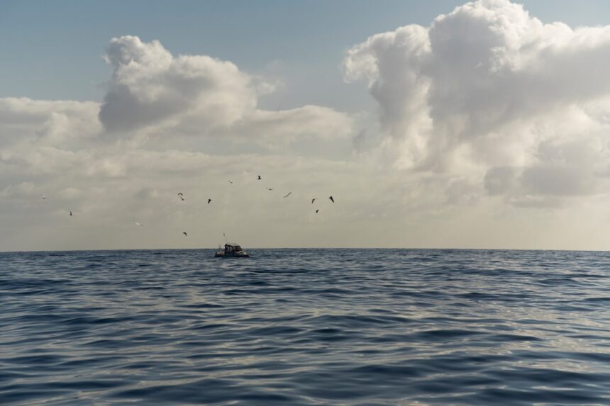 Photo sonar operator submarine hunting techniques