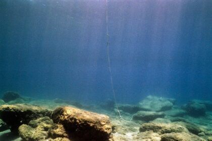Photo undersea cable