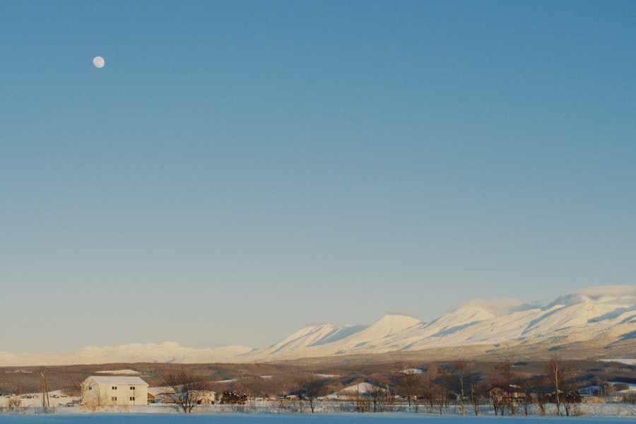 Photo rogachevo arctic airfield