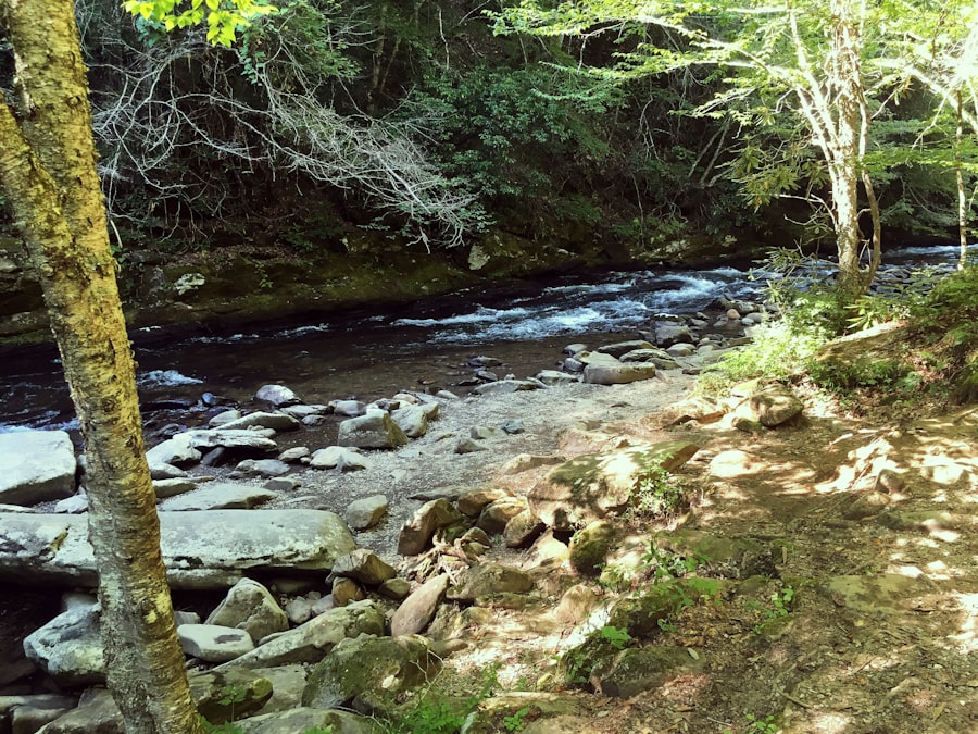 Photo Nord Stream blasts