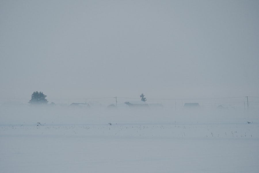 Photo p-8 poseidon arctic patrols