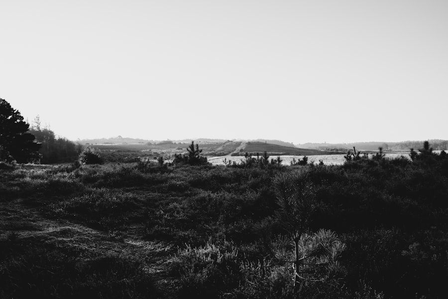 Photo nuclear city Greenland