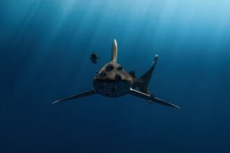 Photo undersea warfare