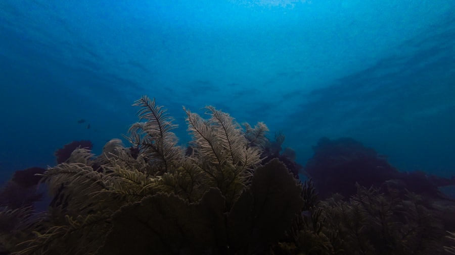 Photo undersea signaling