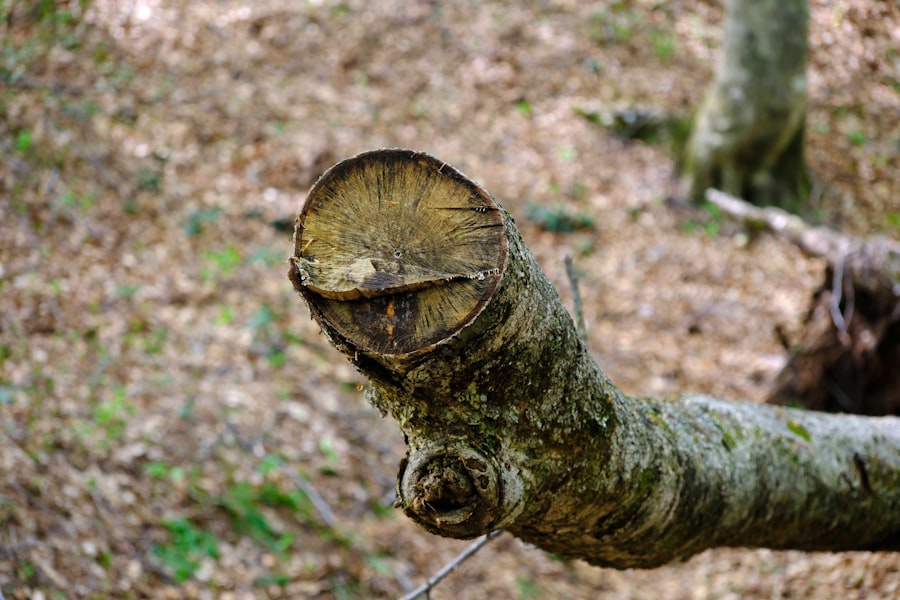 Photo pipeline maintenance log