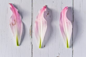 Photo maritime routine