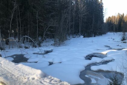 Photo Nord Stream incident