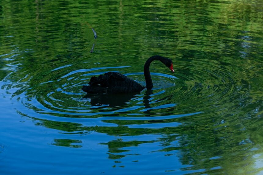 Photo Blackwater security