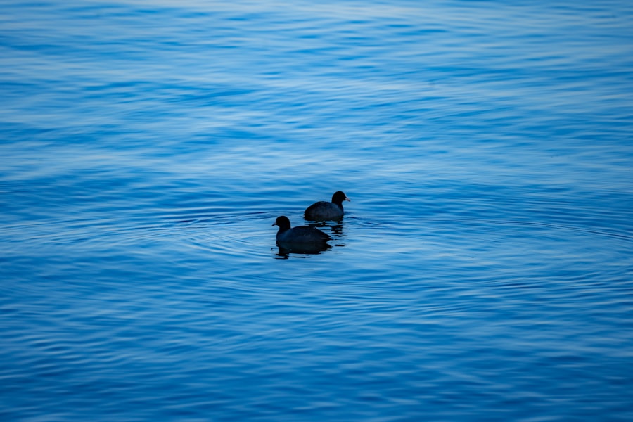 Photo Blackwater security