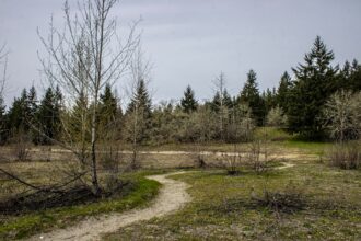 Photo military waste Greenland