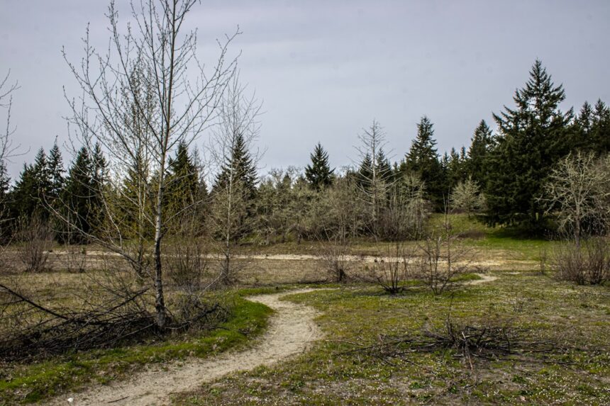 Photo military waste Greenland