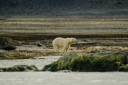 Photo arctic environmental disaster risk