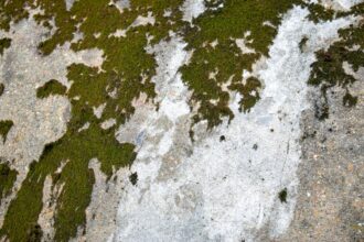 Photo greenland ice sheet melt
