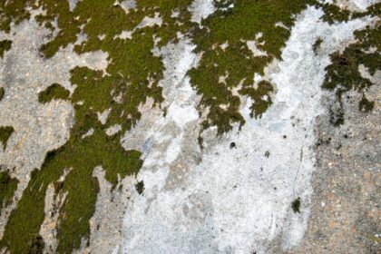 Photo greenland ice sheet melt