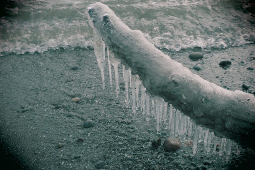 Photo project iceworm