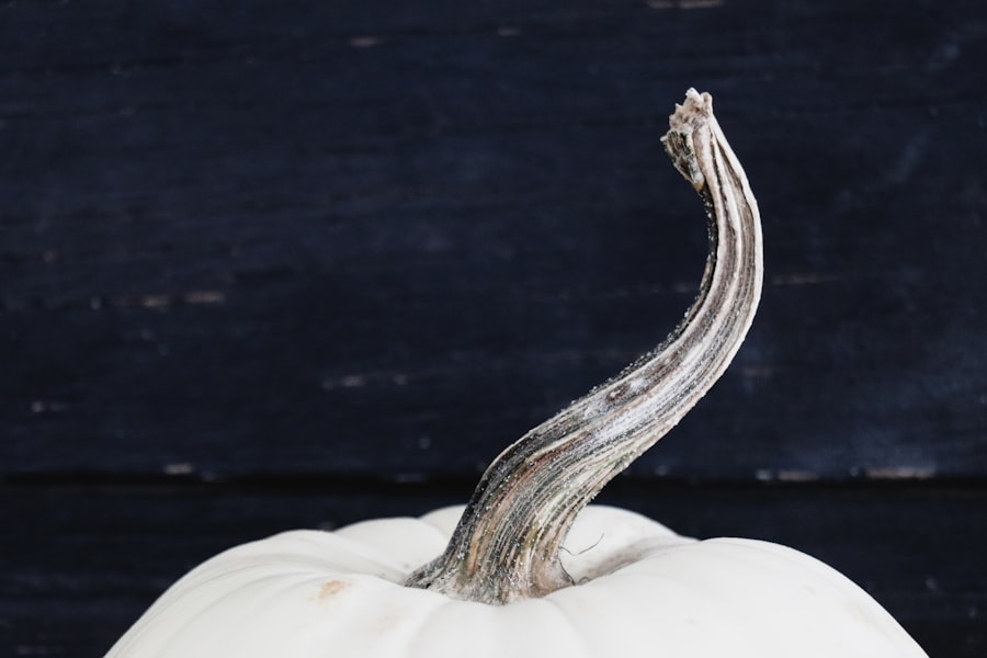 Photo project iceworm