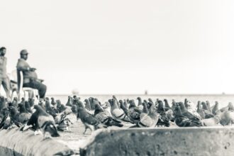 Photo Soviet Afghan War