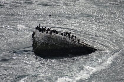 Photo K-129 sinking