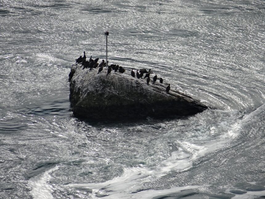 Photo K-129 sinking