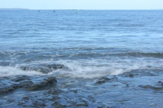 Photo ocean recovery