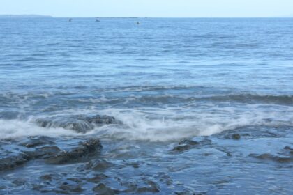 Photo ocean recovery