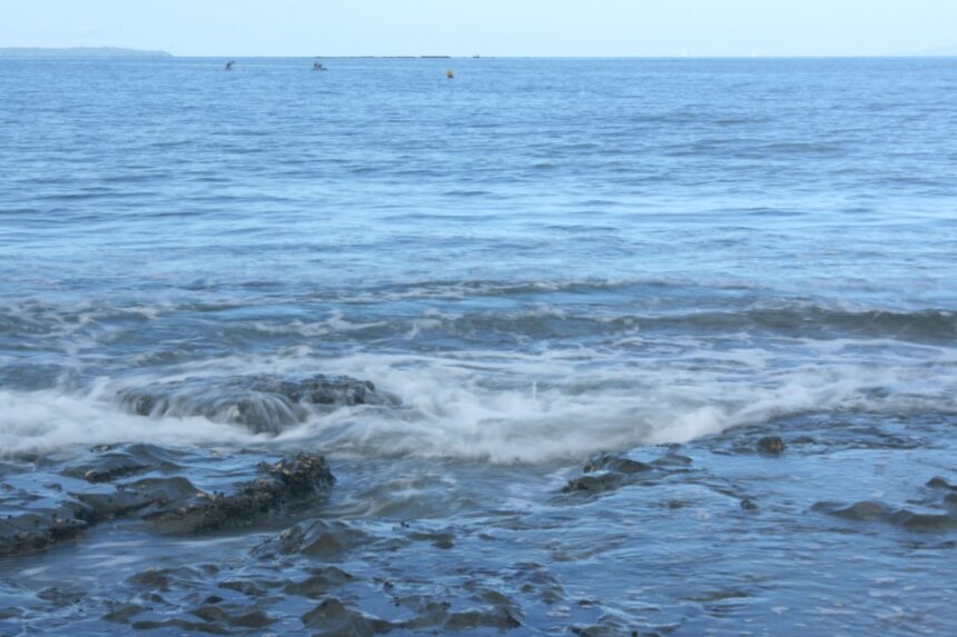 Photo ocean recovery