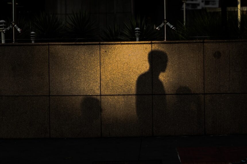 Photo shadow spies