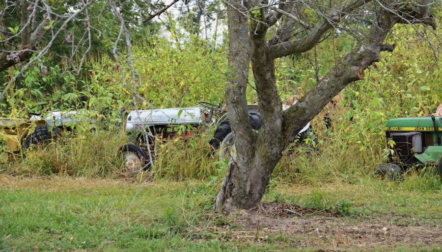 Photo abandoned equipment