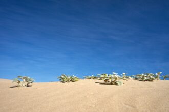 Photo Desert One debacle