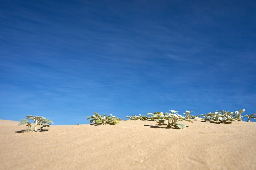 Photo Desert One debacle